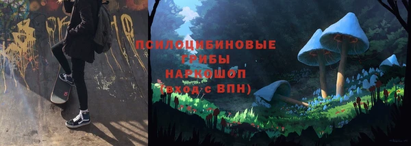 таблы Ладушкин