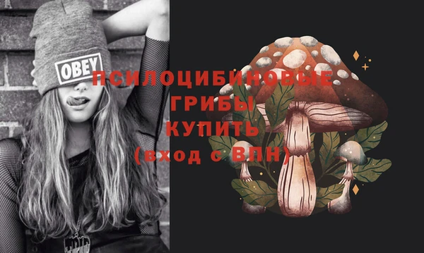 метадон Лагань