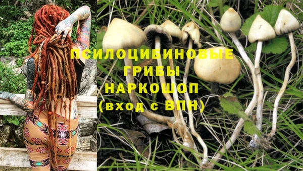 таблы Ладушкин