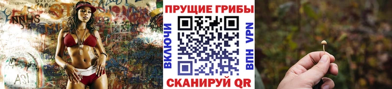 Псилоцибиновые грибы Psilocybe  Купить  Корсаков 